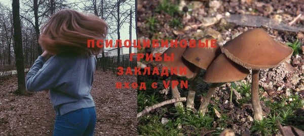 ПСИЛОЦИБИНОВЫЕ ГРИБЫ Надым