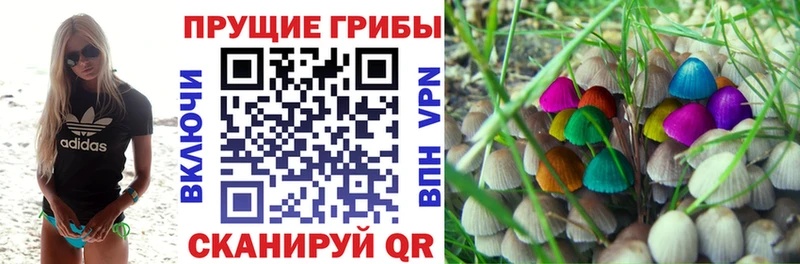 Псилоцибиновые грибы GOLDEN TEACHER  гидра ТОР  Торопец 