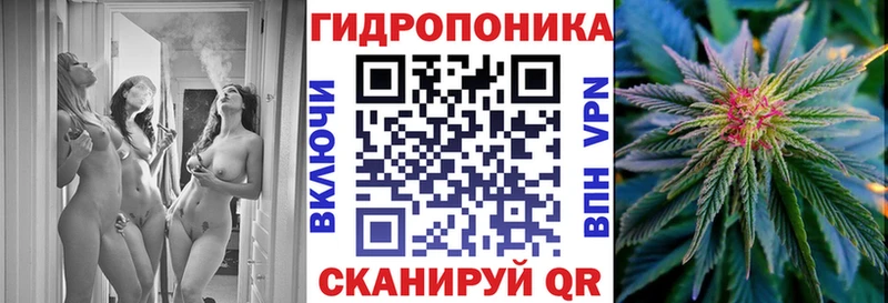 Каннабис OG Kush  Торопец 